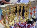 Результаты Чемпионата и Первенства Липецкой области по лыжероллерам